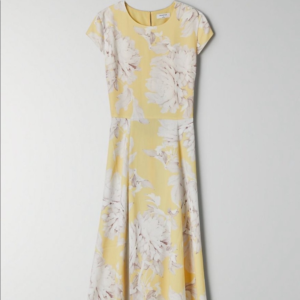 Hamptons Aritzia Dress in Floral Yellow